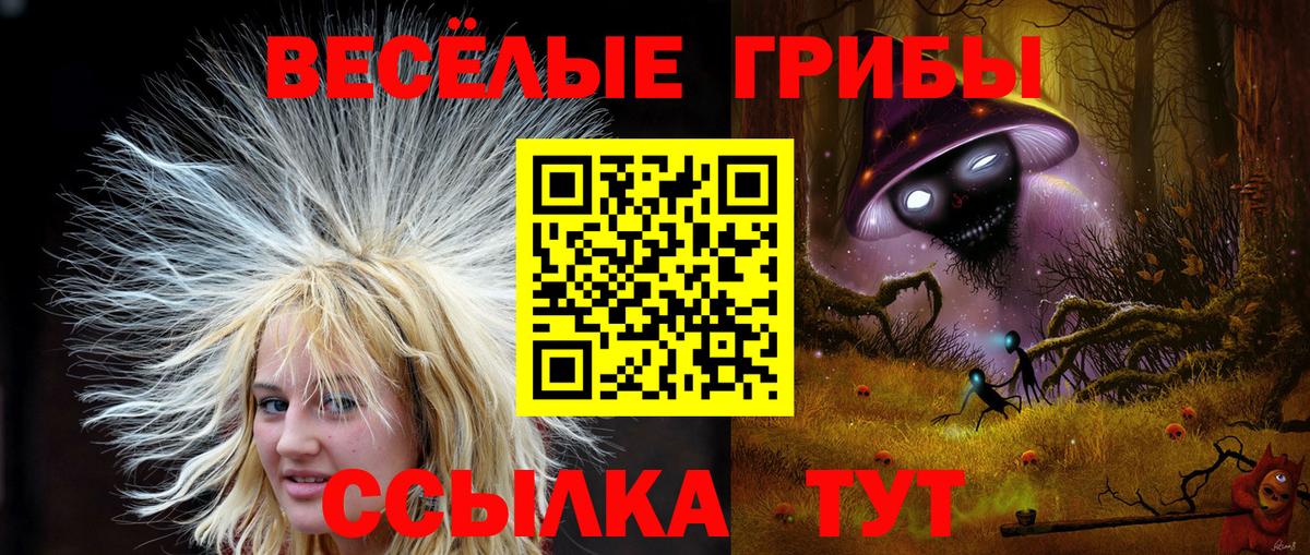 Галлюциногенные грибы Psilocybe  Галлюциногенные грибы ЛСД  Бирск  Вход с VPN 